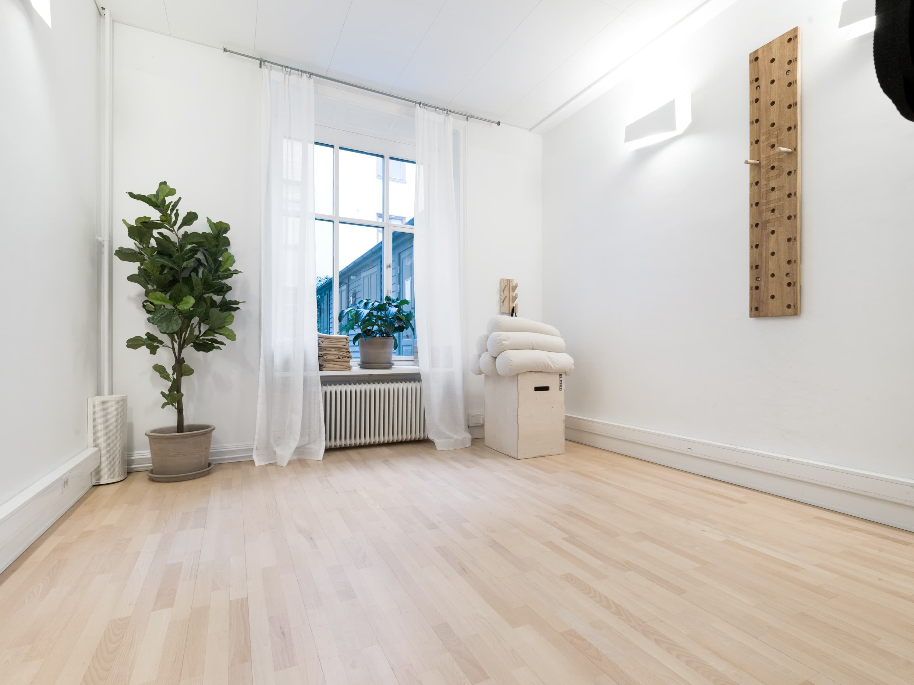 Professional training at Vigour Gym