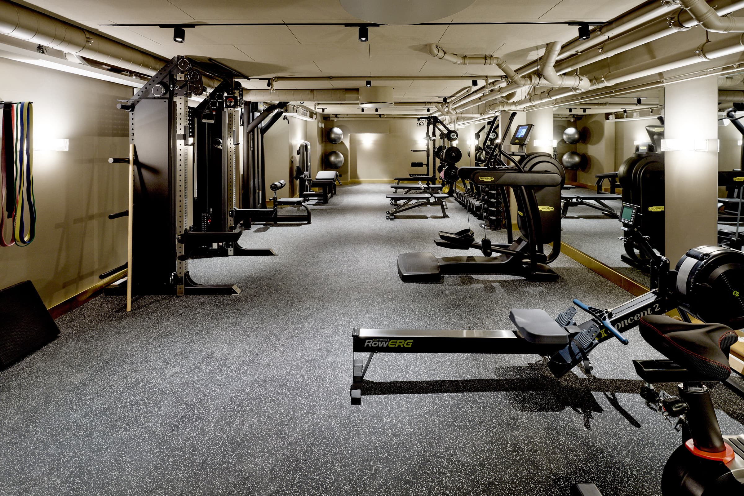 Vigour Gym interior at Club Dahlia
